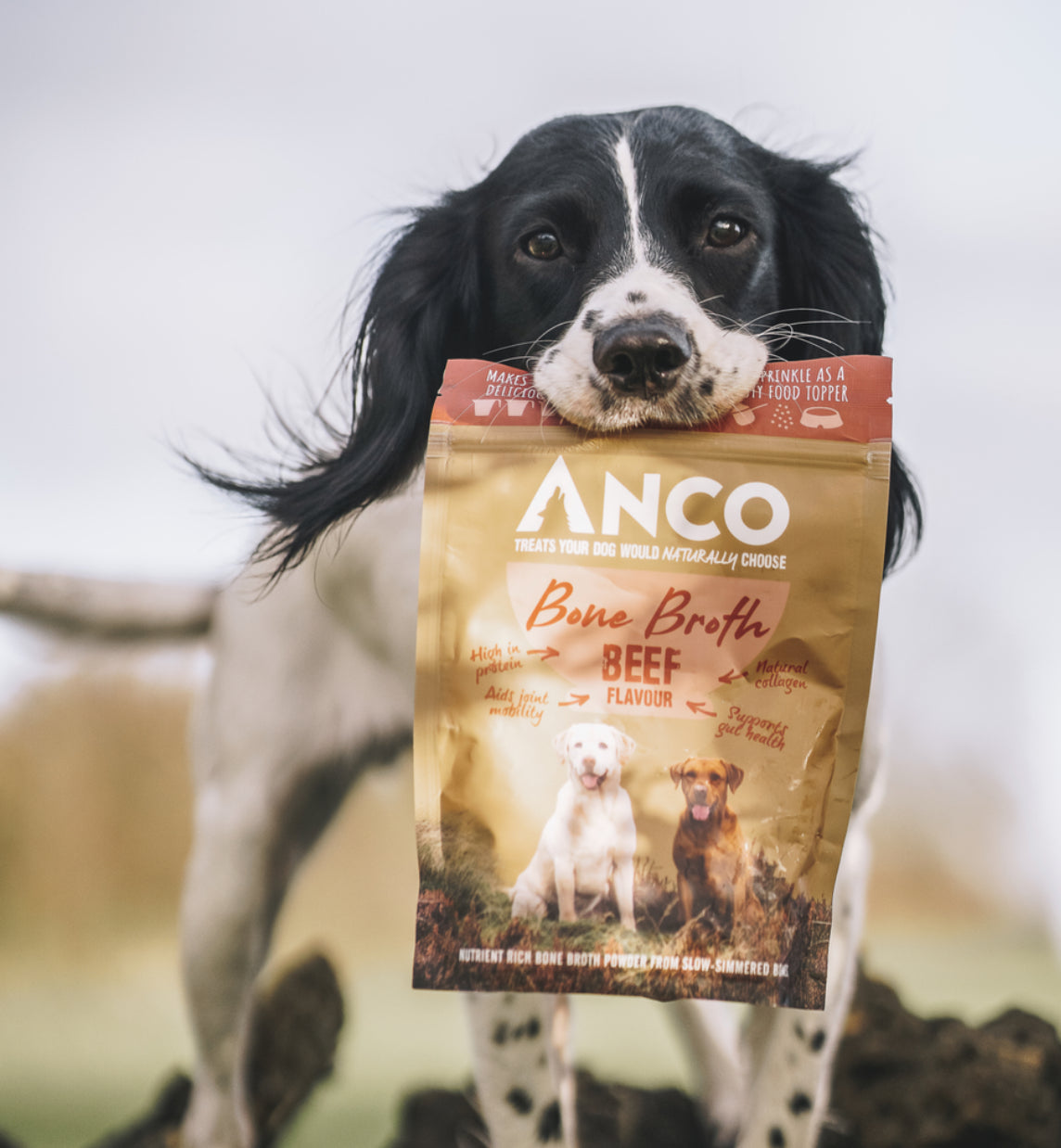 Anco Beef Bone Broth
Collagen and Nutrient rich Bone Broth powder made from slow-simmered bones - 120g