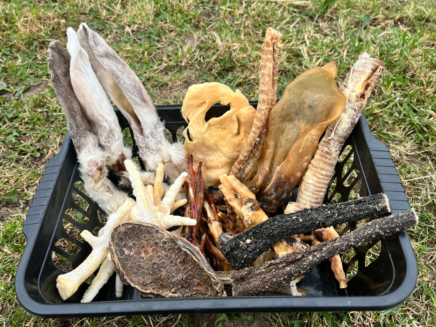 26 pieces treat bundle