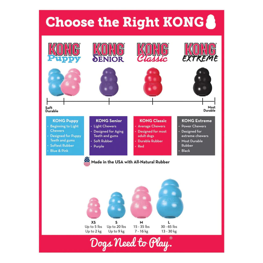 KONG Classic for puppies