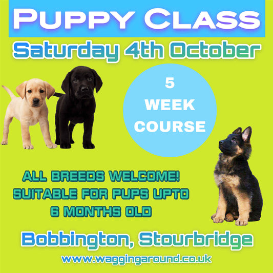 PUPPY CLASS 2025
