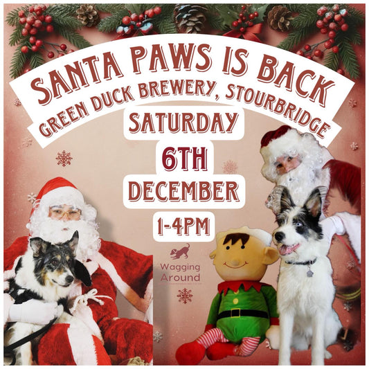 Santa Paws 2025