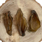 Large Buffalo Ear