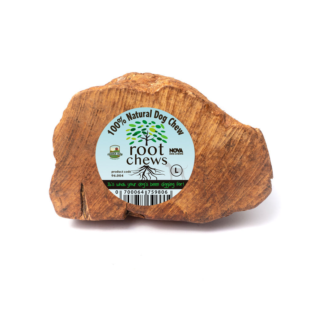 Root Chewing Briar Root Chews Large (500g – 750g) – Wagging Around