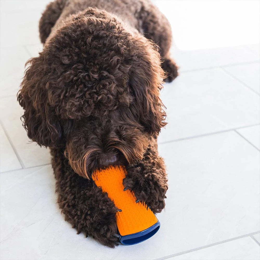 Detangling dog brush by Pet Teezer
